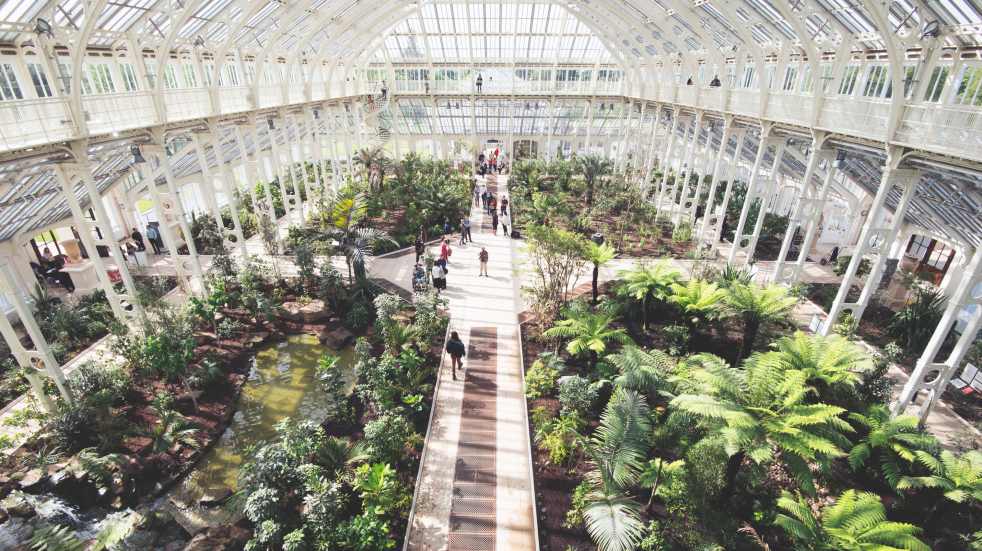 main conservatory kew